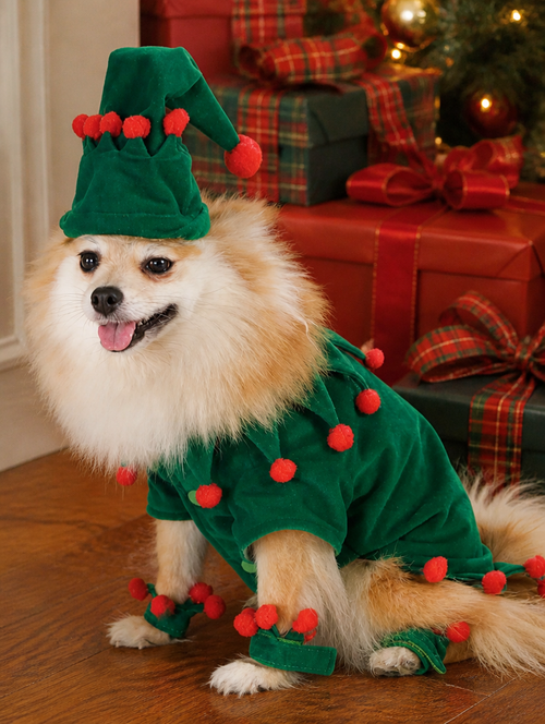 Elf Suit